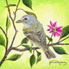 Tropical Bird Poster Print by James Redding - Item # VARPDX13601A