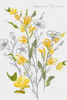 Botantical Yellow Flowers Poster Print by Eva Watts - Item # VARPDXEW146A