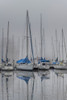Sailing Boats Poster Print by Andy Amos - Item # VARPDX13531BM