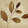 Antiqued Leaves I Poster Print by Lanie Loreth - Item # VARPDX12574