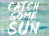 Catch Some Sun Poster Print by Lanie Loreth - Item # VARPDX11624A