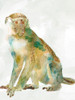 African Colors Monkey Poster Print by Carol Robinson - Item # VARPDX40408