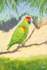 Tropic Bird in Paradise II Poster Print by Julie DeRice - Item # VARPDX10907D