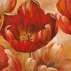 Sunlit Bloom I Poster Print by Nan - Item # VARPDX12744