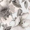 Free Blooms II Poster Print by Eva Watts