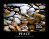 Peace Poster Print by Gail Peck - Item # VARPDX11612F