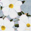 White Floral II Poster Print by James Redding - Item # VARPDX12766AB