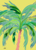 Palm on Sunlight I Poster Print by Julie DeRice - Item # VARPDX12489B