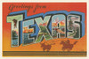 Greetings from Texas v2 Poster Print by Wild Apple Portfolio - Item # VARPDX45243