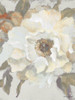 White Peony and Bloom Poster Print by Lanie Loreth - Item # VARPDX12248H