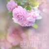 Life is Beautiful Poster Print by Sarah Gardner - Item # VARPDX10142C