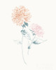 Flowers on White IV Contemporary Poster Print by Wild Apple Portfolio - Item # VARPDX44425
