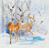 Deer in the Cypress Poster Print by Lanie Loreth - Item # VARPDX12845