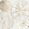 Sea Patterns II Poster Print by Aimee Wilson - Item # VARPDXWLR30M