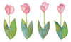 Spring Has Sprung VIII Poster Print by Courtney Prahl - Item # VARPDX43722
