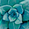 Blue Succulent Poster Print by Patricia Pinto - Item # VARPDX12907D