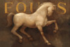 Equus Poster Print by Albena Hristova - Item # VARPDX10346