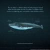 Whaleprint 3 Poster Print by Inc. Nobleworks - Item # VARPDXNOB183