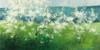 Mountain Spring Poster Print by Julia Purinton - Item # VARPDX45450