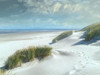 White Sands Poster Print by Mike Calascibetta - Item # VARPDX40321