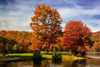 Autumn by the River II Poster Print by Alan Hausenflock - Item # VARPDXPSHSF2305
