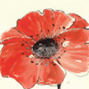 Spring Poppy IV Poster Print by Chris Paschke - Item # VARPDX10763