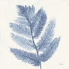 Forest Ferns I Blue Poster Print by Albena Hristova - Item # VARPDX42748