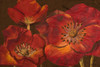 Dazzling Poppies Poster Print by Josefina - Item # VARPDX8541C