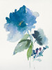Blue Flower Garden III Poster Print by Asia Jensen - Item # VARPDXJN282A