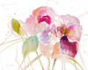 Summer Flowers Poster Print by Lanie Loreth - Item # VARPDX12100