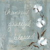 Cotton Thankful Poster Print by Carol Robinson - Item # VARPDX19539