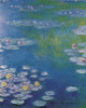 Waterlilies at Giverny Poster Print by Claude Monet - Item # VARPDX129893