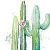 Desert Cactus Poster Print by Patricia Pinto - Item # VARPDX12619