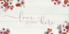 Love Grows Here Poster Print by Sally Swatland - Item # VARPDX40103