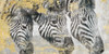 Zebra Poster Print by Dina Peregojina - Item # VARPDXDH008A