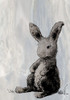 Bunny on Marble I Poster Print by Diannart - Item # VARPDX12753D