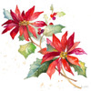 Poinsettias I Poster Print by Lanie Loreth - Item # VARPDX12165