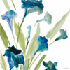 Teal Belles Square II Poster Print by Lanie Loreth - Item # VARPDX10803D