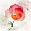 Translucent Poppy I Poster Print by Lanie Loreth - Item # VARPDX12334