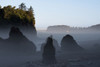 Ruby Beach Morning III Poster Print by Stan Hellmann - Item # VARPDXPSHEL166