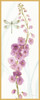 Rainbow Seeds Flowers VII Dragonfly Poster Print by Lisa Audit - Item # VARPDX42701