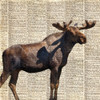 Country Moose II Poster Print by Anna Coppel - Item # VARPDX9540DB
