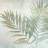 Soft Leaves III Poster Print by Irene Weisz - Item # VARPDX40142