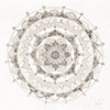 Neutral Mandala Poster Print by Danhui Nai - Item # VARPDX42193