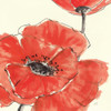 Spring Poppy II Poster Print by Chris Paschke - Item # VARPDX10762