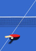 Pingpong Poster Print by Robert Farkas - Item # VARPDXF731D