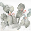 Cactus Garden Gray Blush I Poster Print by Cynthia Coulter - Item # VARPDXRB12674CC