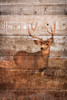 Woodland Deer Poster Print by Kathy Mansfield - Item # VARPDX13899A