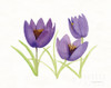 Easter Blessing Flowers VII Poster Print by Kathleen Parr McKenna - Item # VARPDX46948