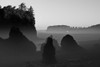 Ruby Beach Morning III BW Poster Print by Stan Hellmann - Item # VARPDXPSHEL162